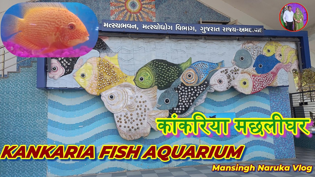 KANKARIA FISH AQUARIUM कांकरिया मछलीघर