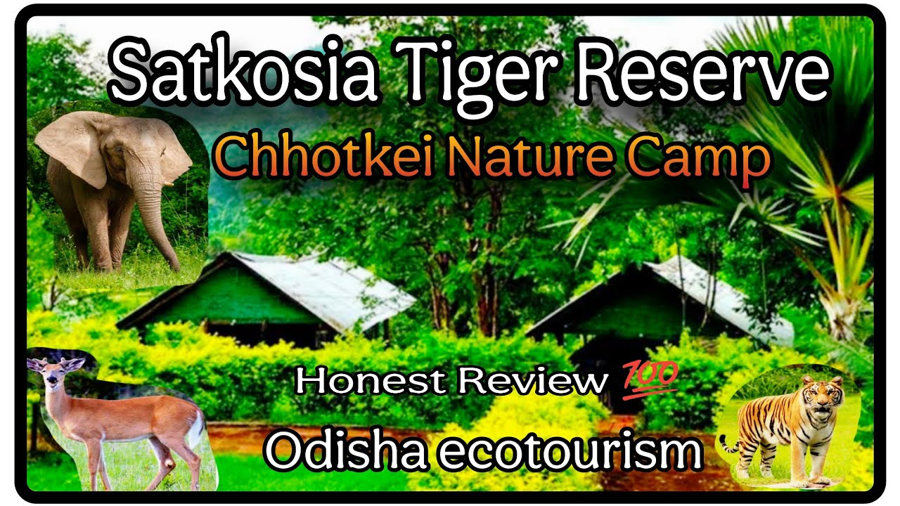 Chhotkei Nature Camp ⛺Of Satkosia Tiger Reserve🦣🐘Offbeat location 🐅🐆 Ecotourism Of Odisha 🦌.