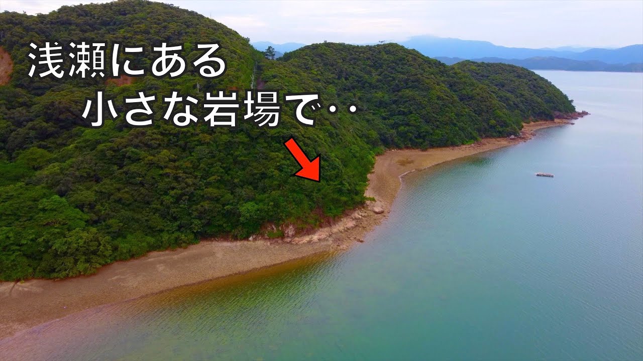 小魚ざわめく浅瀬で釣りしてみたら思いもよらない凶悪魚が釣れました。