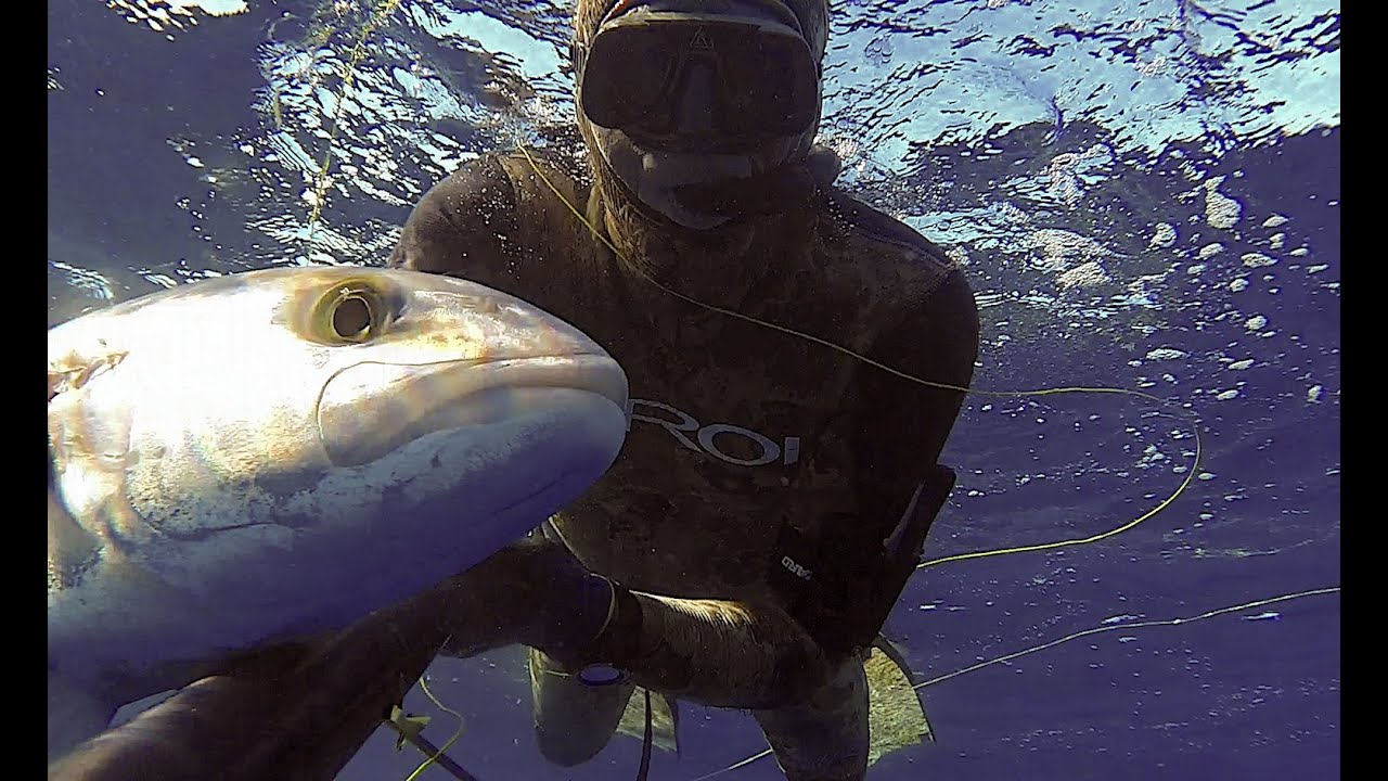 PESCA SUB LAMPEDUSA NOVEMBRE 2022