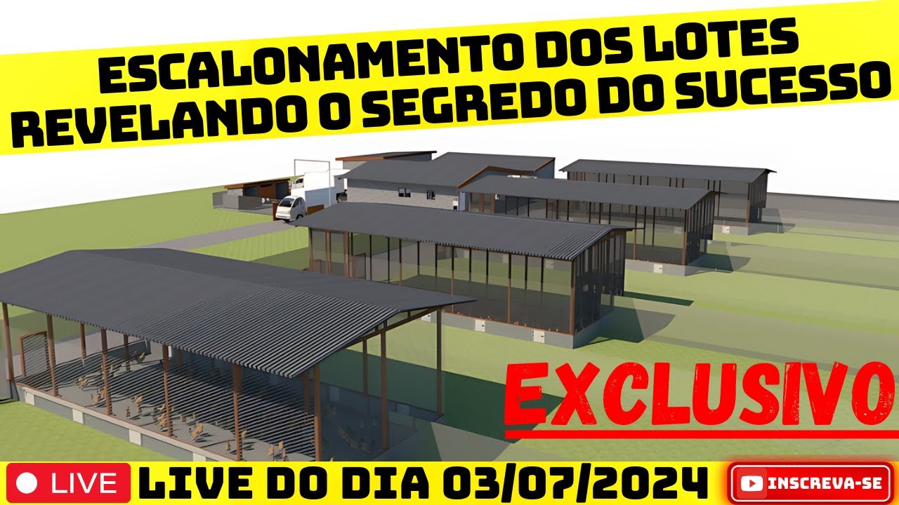 APRENDA FAZER O ESCALONAMENTO DOS LOTES PARA GALINHA CAIPIRA