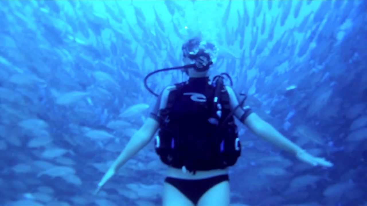 Scuba Diving in Cabo Pulmo