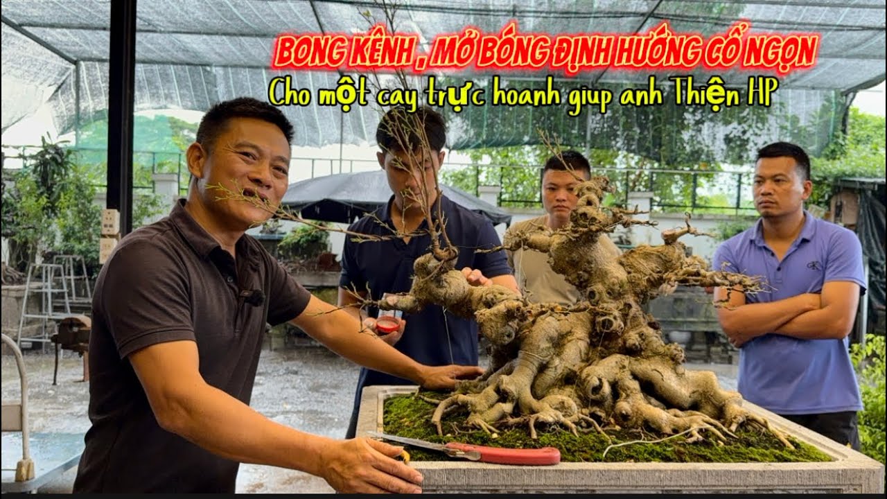 Nam Lê Bonsai | Bong kênh mở bóng cho một cốt trực hoành rất chất giúp anh Thiện HP