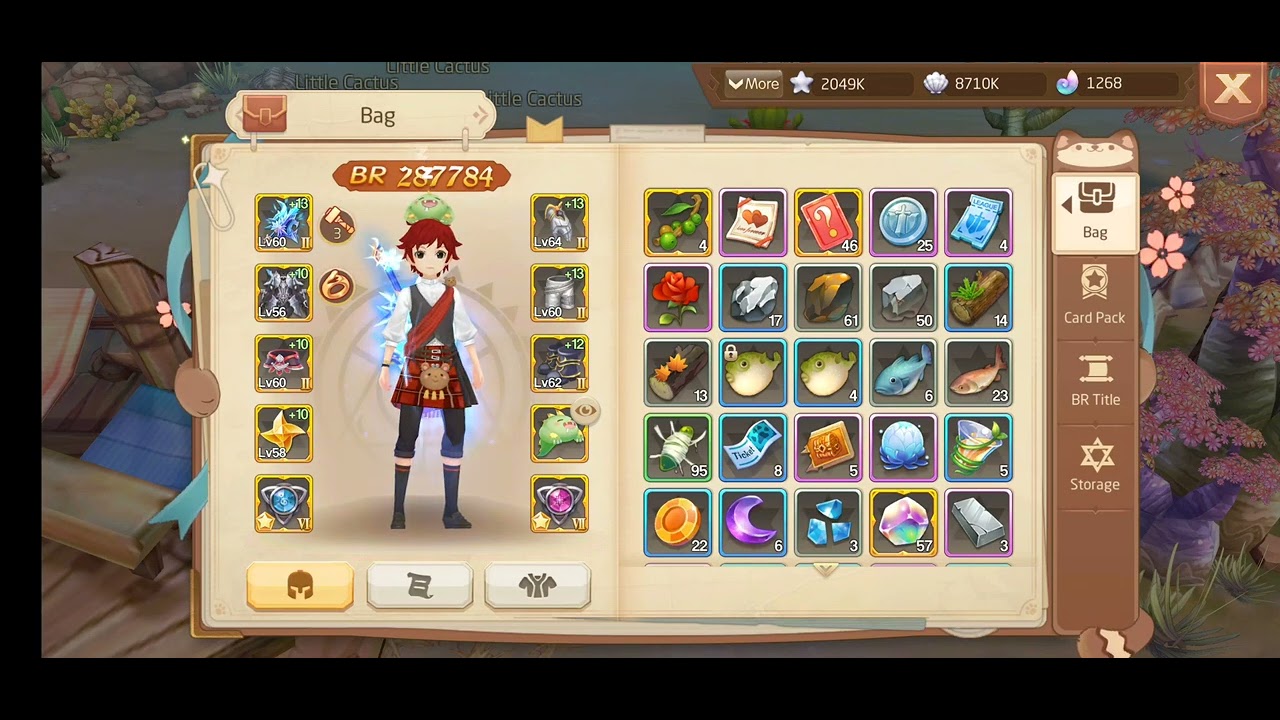 PALADIN BUILD - A Guide for being a TANK. Tales of the wind Radiant Rebirth