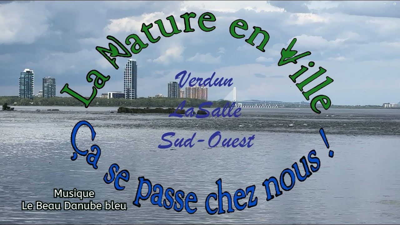 Vidéo septembre: La nature en ville : Verdun, LaSalle et Sud-ouest