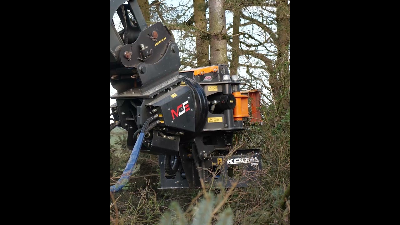 Easily Cut Trees | Kodiak 700 Grapple Saw #forestry #construction #excavator #treefelling