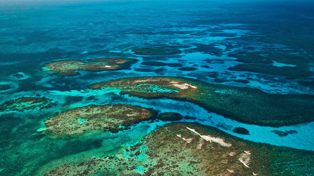4K Drone Footage of Belize - INSANE Views You Won’t Believe! 😱🌴