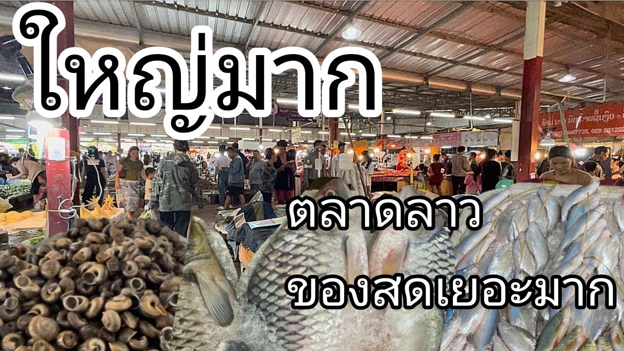 ตลาดลาวในเวียงจันทน์ใหย่มากแม่ค้าสวยปลาก็เยอะของขายเยอะมาก