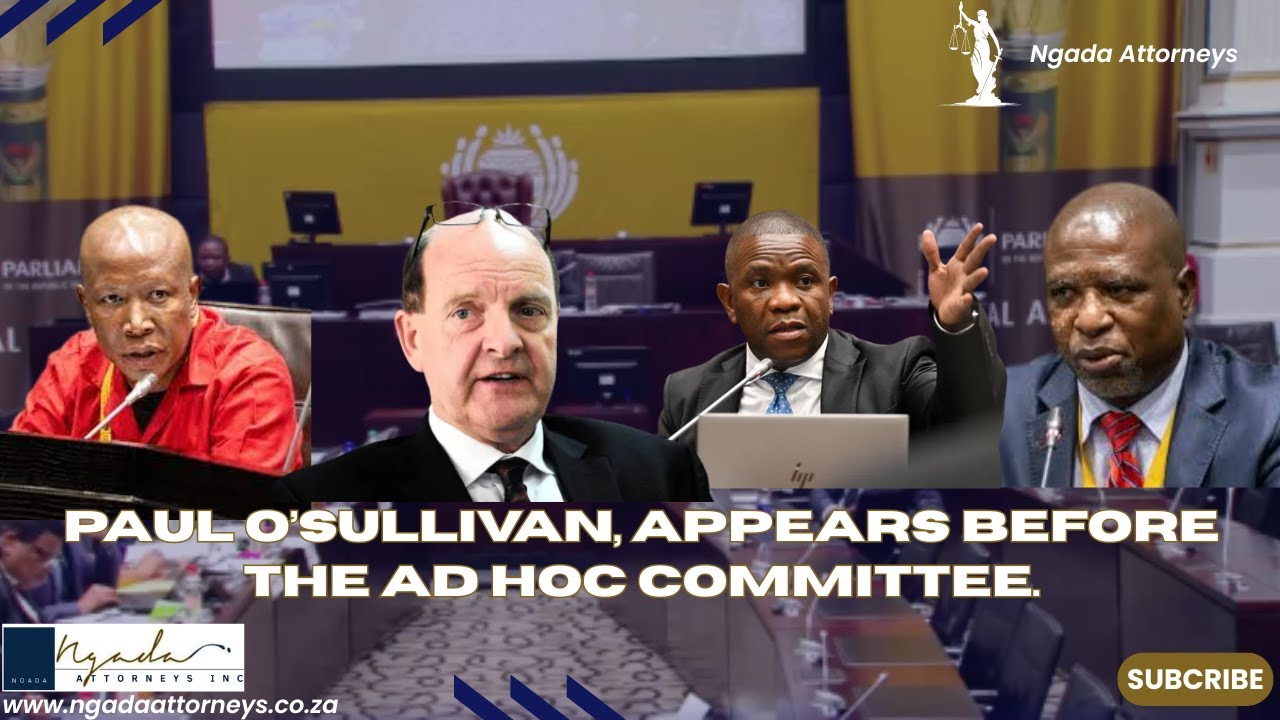 Paul O’Sullivan, appears before the Ad Hoc Committee.