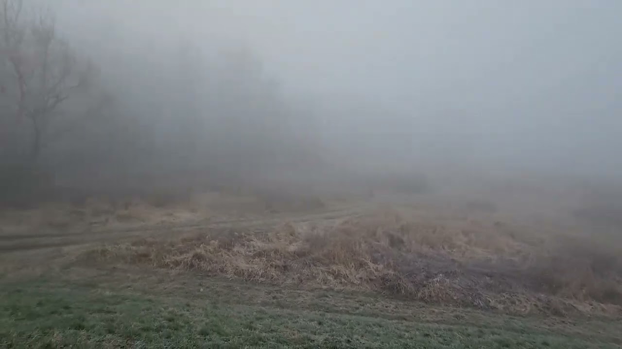 Spacer w  mroźny mglisty poranek 🥾🤠