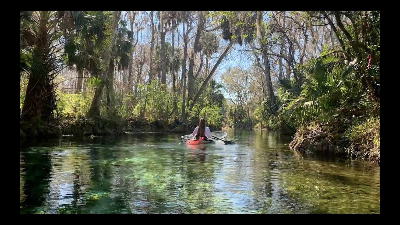 Silver Springs Manatees tour on Glass bottom Kayaks