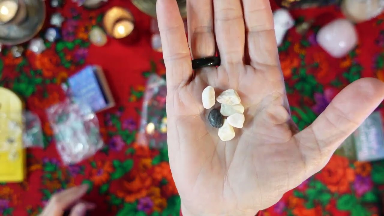 MINI FAIRY TERRARIUM - Product Review - DOES YOUR DOLLHOUSE NEED ONE? IDEAS ON HOW TO MAKE YOUR OWN!
