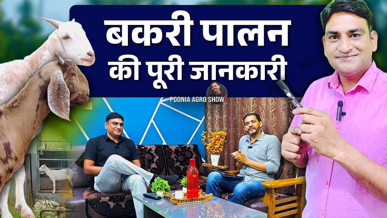 बकरी पालन की पूरी जानकारी | Succesful Goat Farming Business 2025 | feat. @IndianNisar