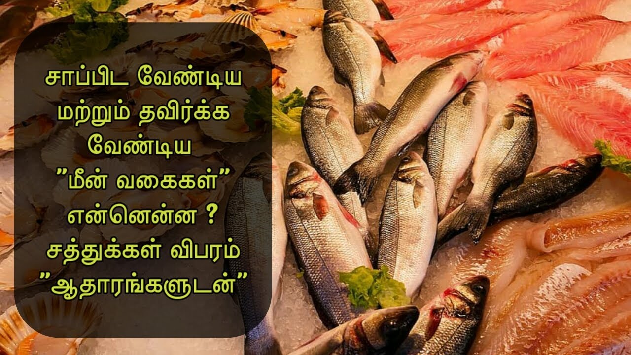 சாப்பிட வேண்டிய மற்றும் தவிர்க்க வேண்டிய மீன் வகைகள் என்னென்ன? | சத்துக்கள் | Fishes to Eat & Avoid
