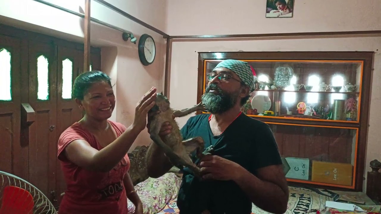 Rescued a baby monkey from a nylon net