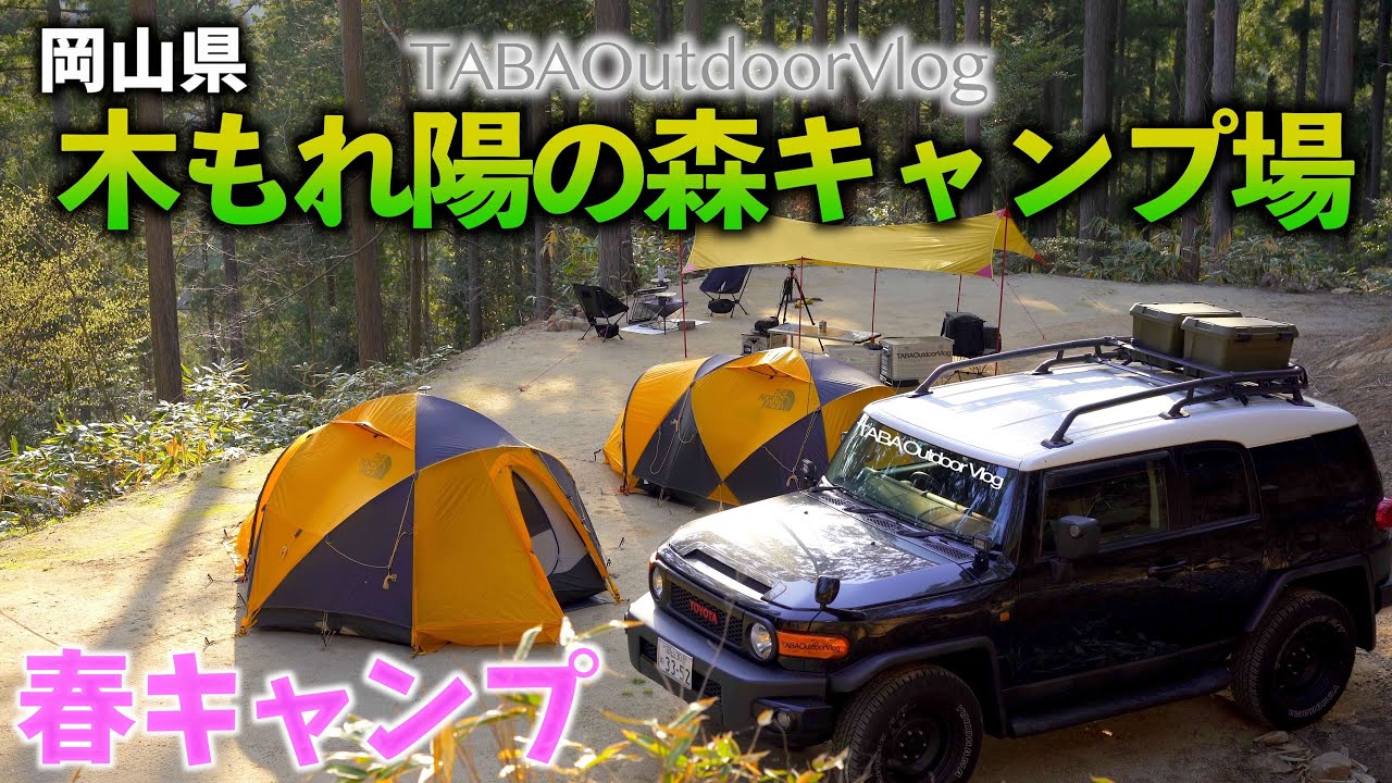 春キャンプ　岡山県 木もれ陽の森キャンプ場