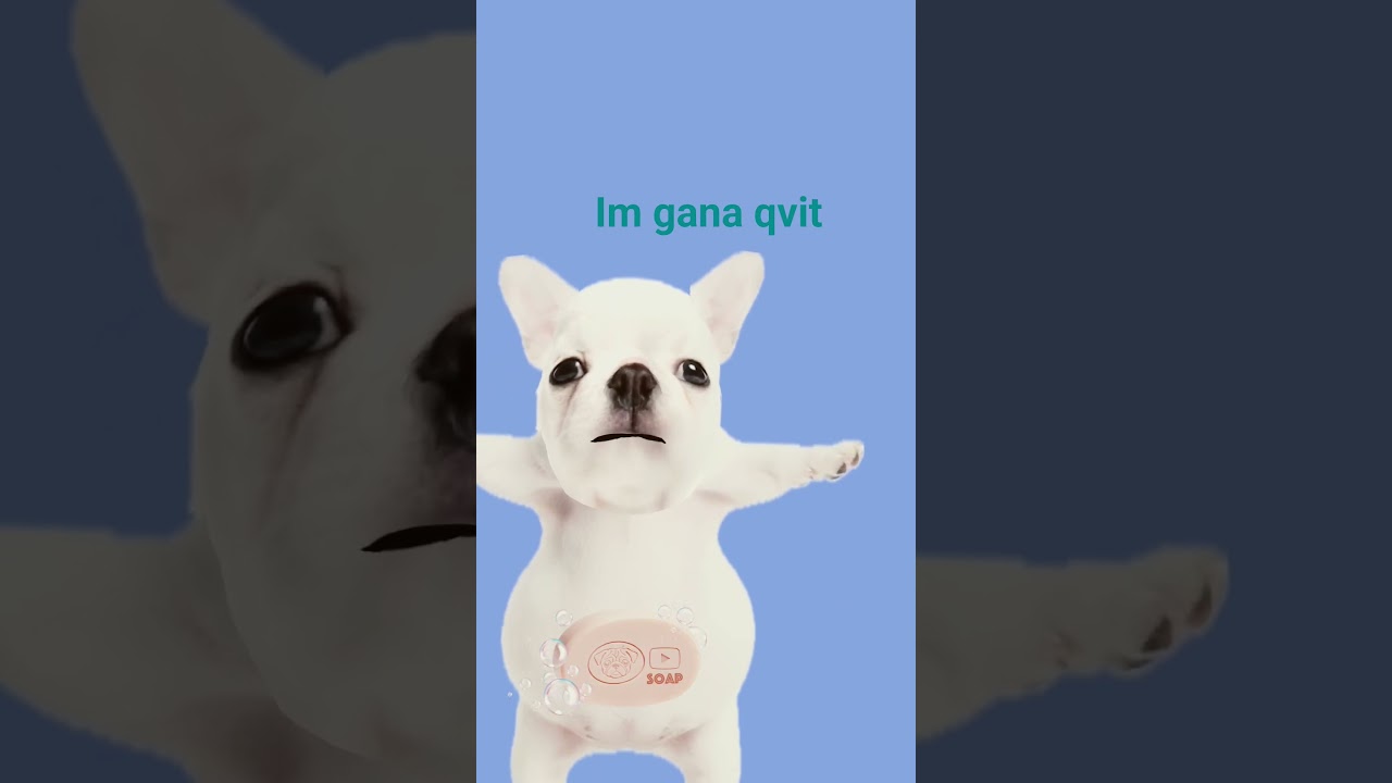 im not gana meik mor vidiovs