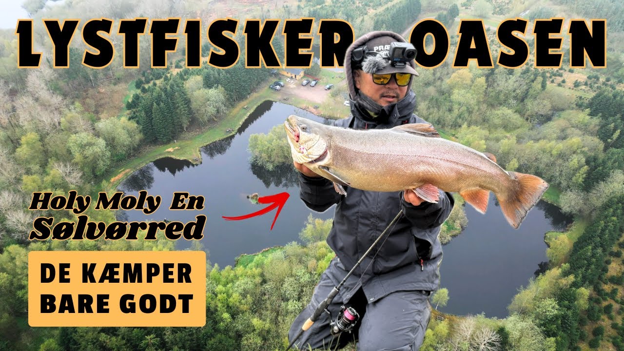 Flot Sølvørred fra Lystfisker Oasen - Put And Take - Absolut godkendt tur!!