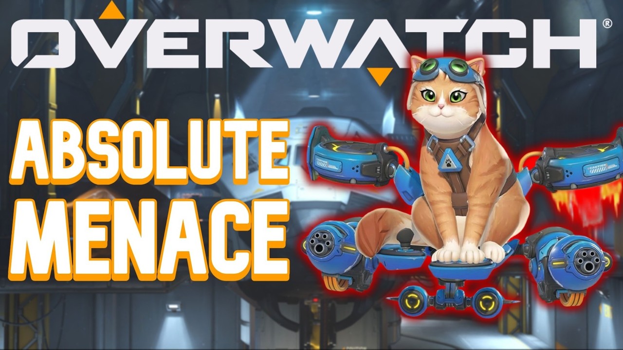 Jetpack Cat Is A War Criminal - Overwatch