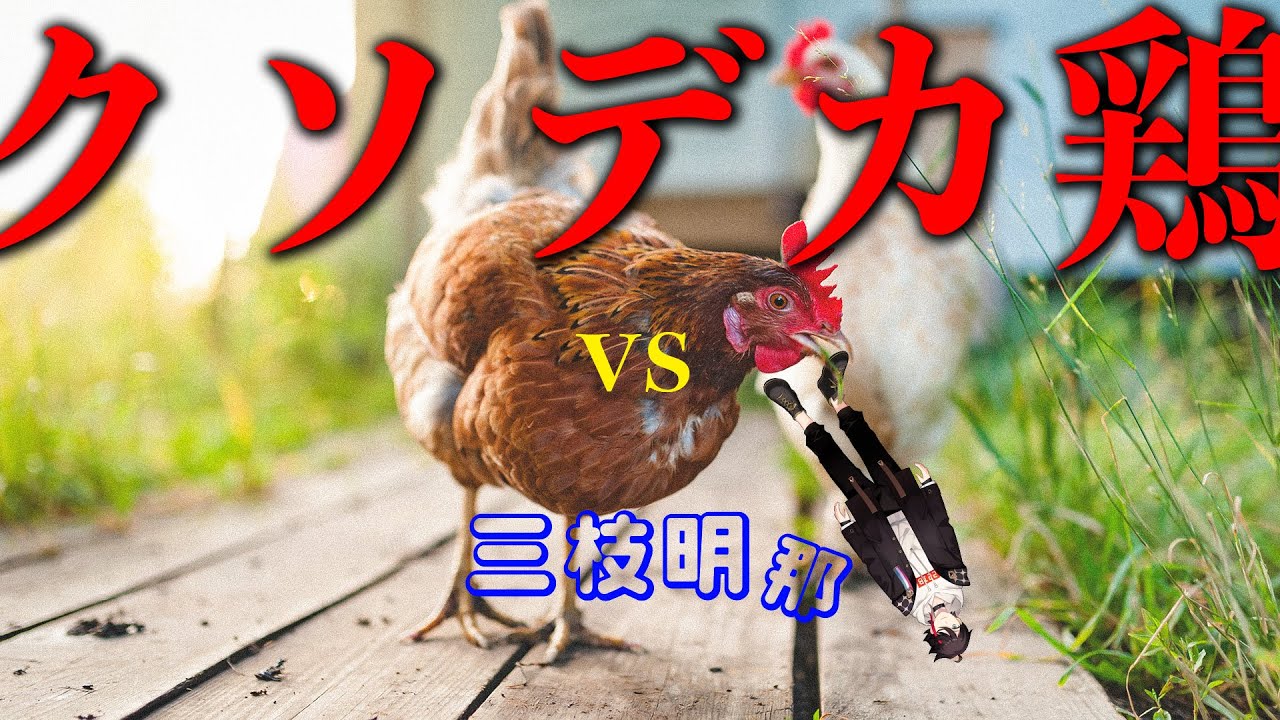 【Chicken Feet】クソデカ鶏 vs 三枝明那