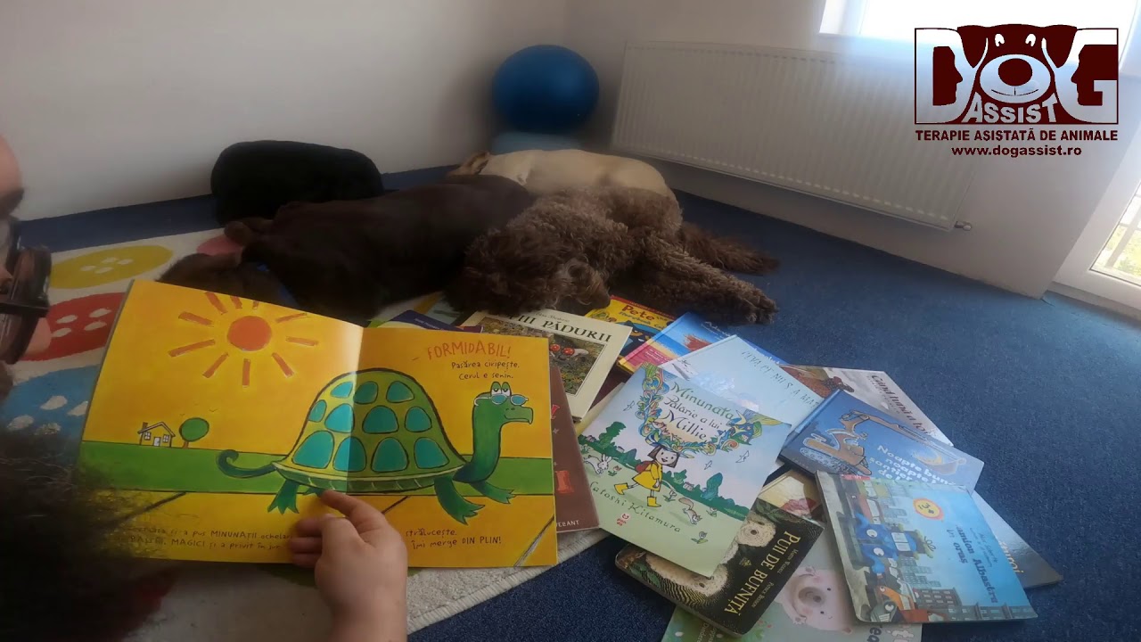 Pete Motanul si ochelarii sai magici - Dog Assist - Prietenii cartilor - Reading for dogs