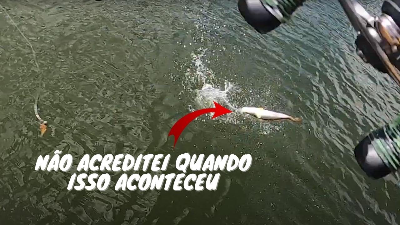 NÃO ACREDITO QUE ISSO ACONTECEU | QUE PESCARIA