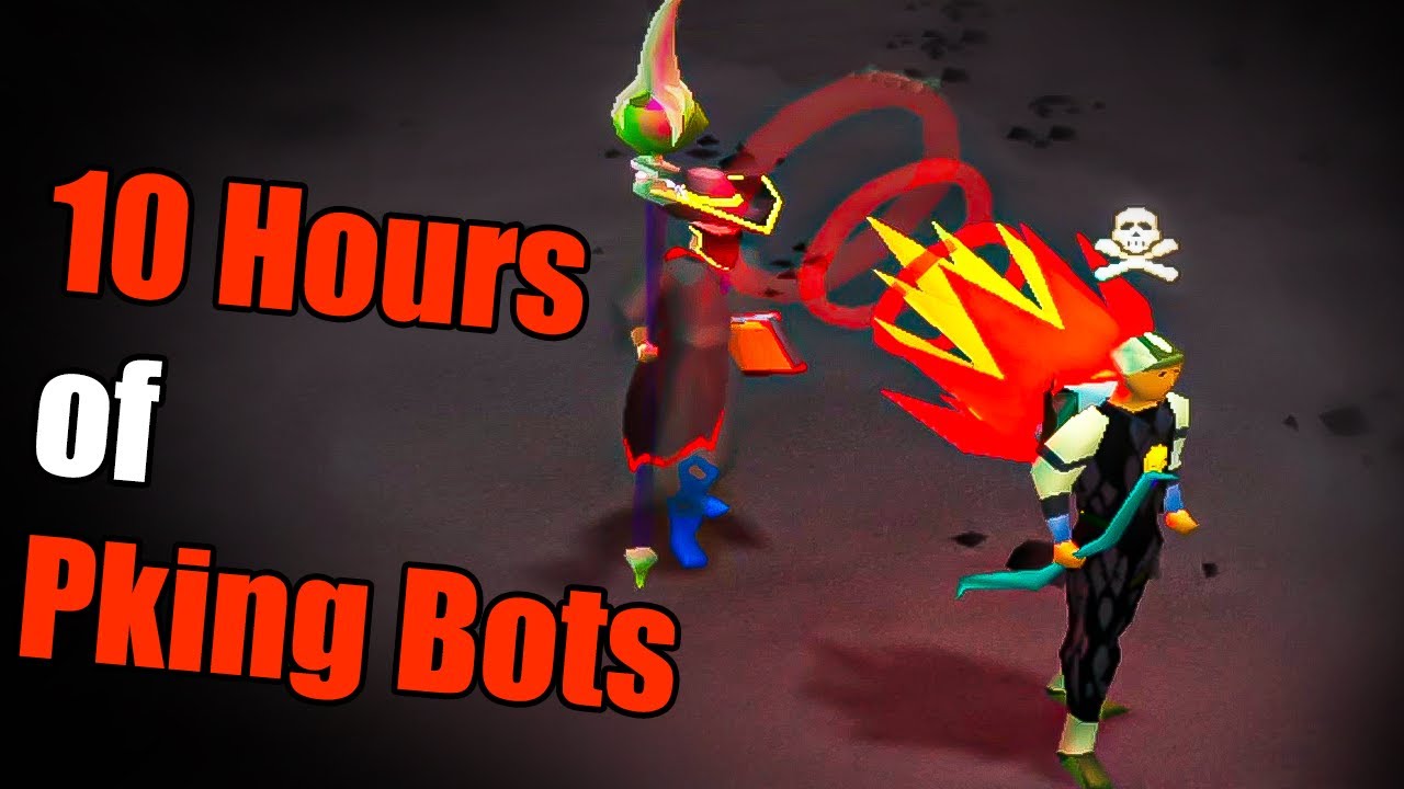 Profit From 10 Hours Of Pking Rev Bots