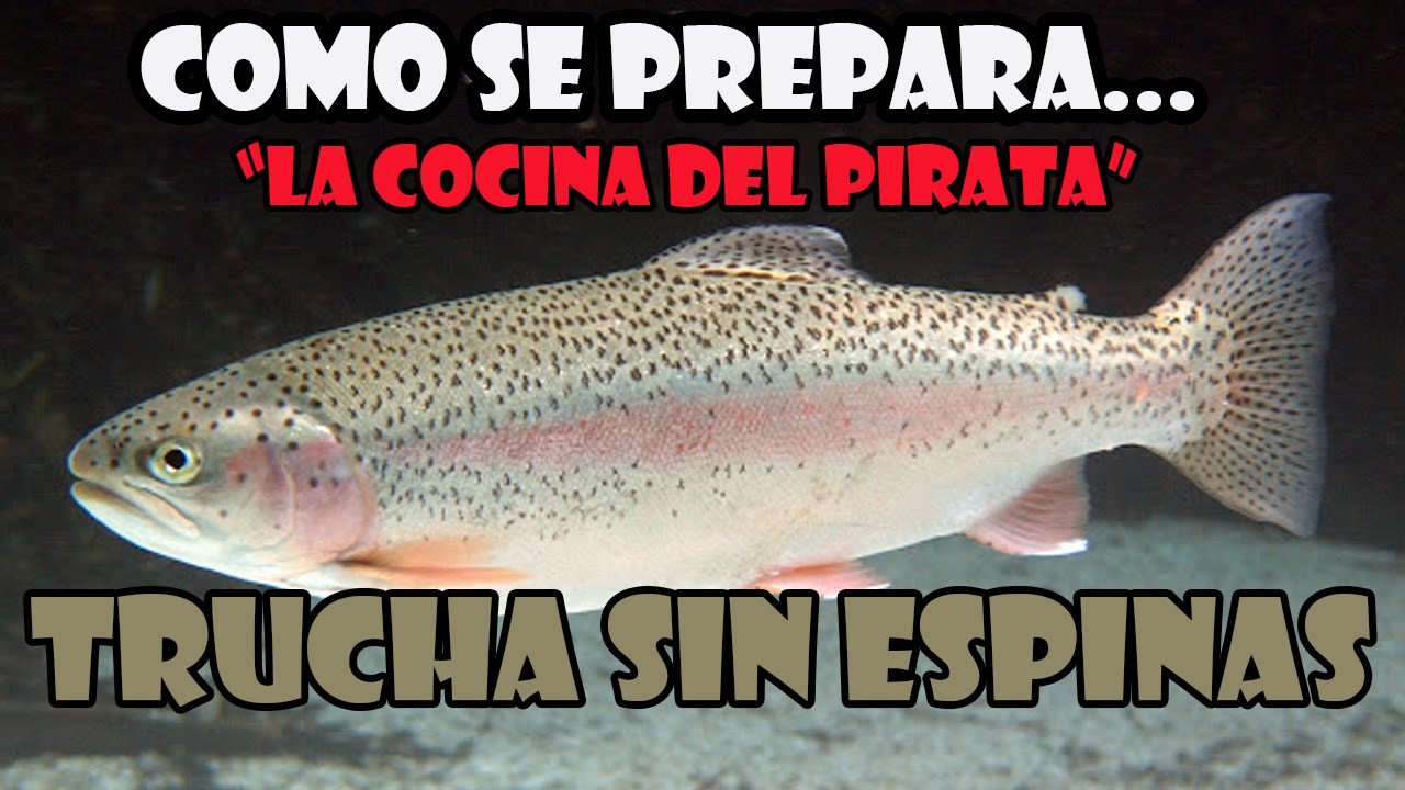 Como Limpiar una Trucha