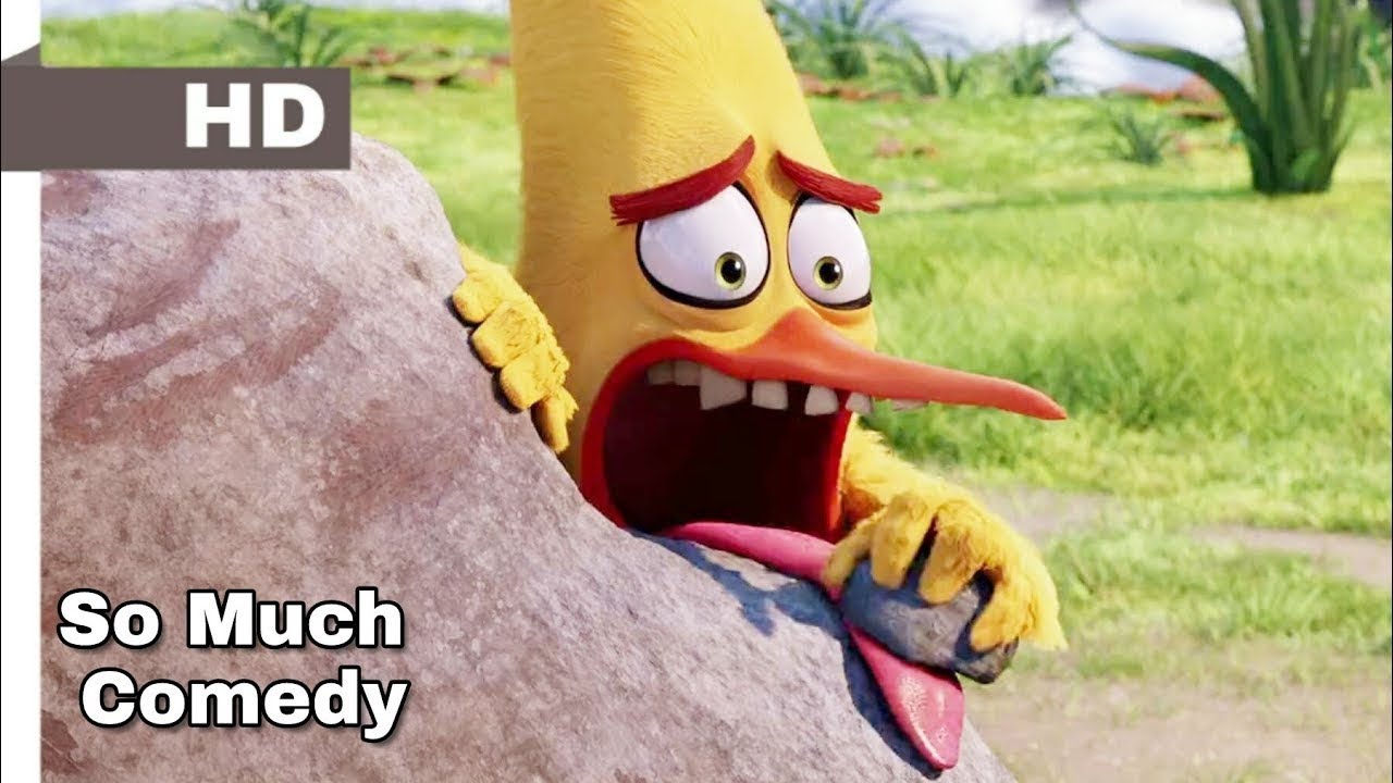 The Angry Birds Funny scene in Hindi | The Angry Birds funny scene | The Angry Birds | Angry Birds |