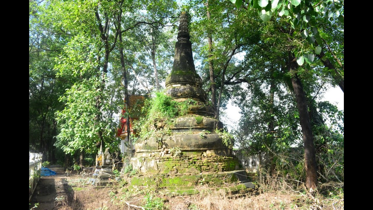 พาชมต้นโพธิ์สีขาว เจดีย์โบราณอายุกว่า 100 ปี ที่วัดเตาอิฐ ฉะเชิงเทรา