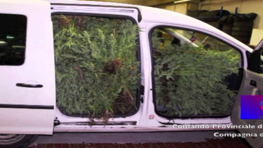 LARCIANO MAXI SEQUESTRO DROGA