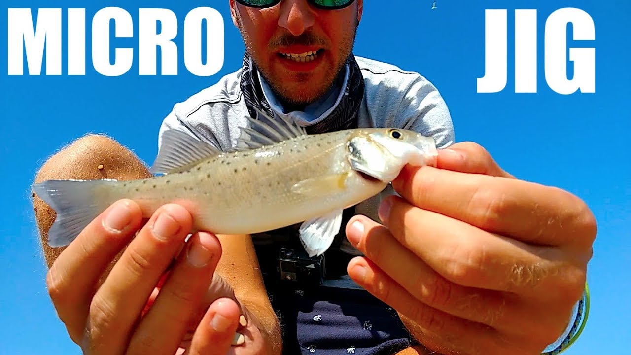 Spigolette tra la schiuma con BOMBARDA E MICRO JIG?!