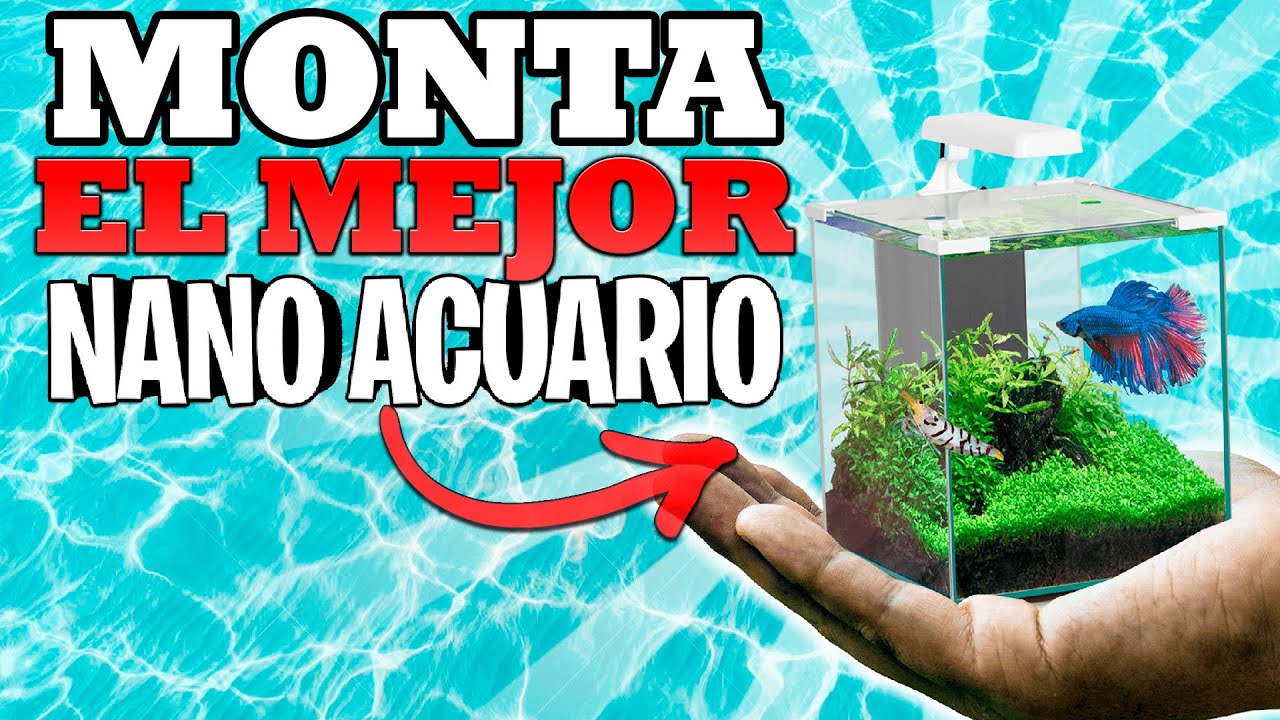 CÓMO MONTAR un NANO ACUARIO de Agua Dulce en 2022 🔥[SÚPER FÁCIL]🔥