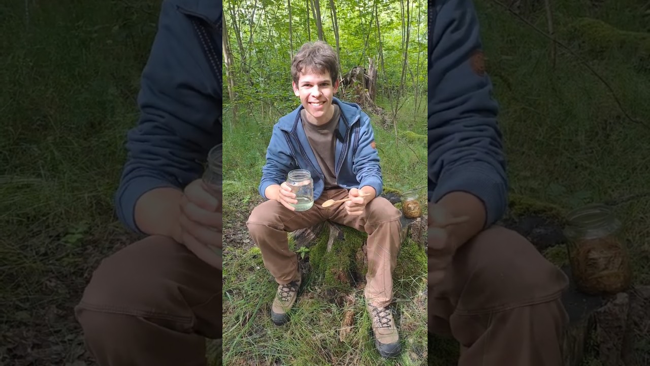Smrkov&yacute; sirup - z&aacute;zračn&yacute; elix&iacute;r z lesa #bushcraft