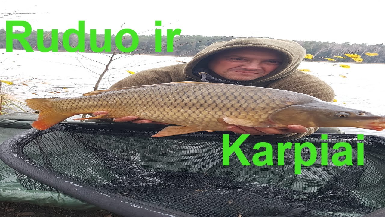 karpiu zukle Zelvos ez