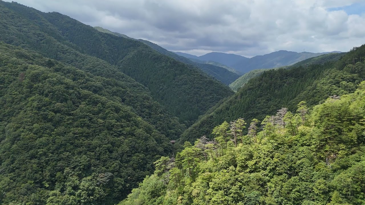 島根県益田市匹見町 表匹見狭 屛風ヶ浦 drone view05