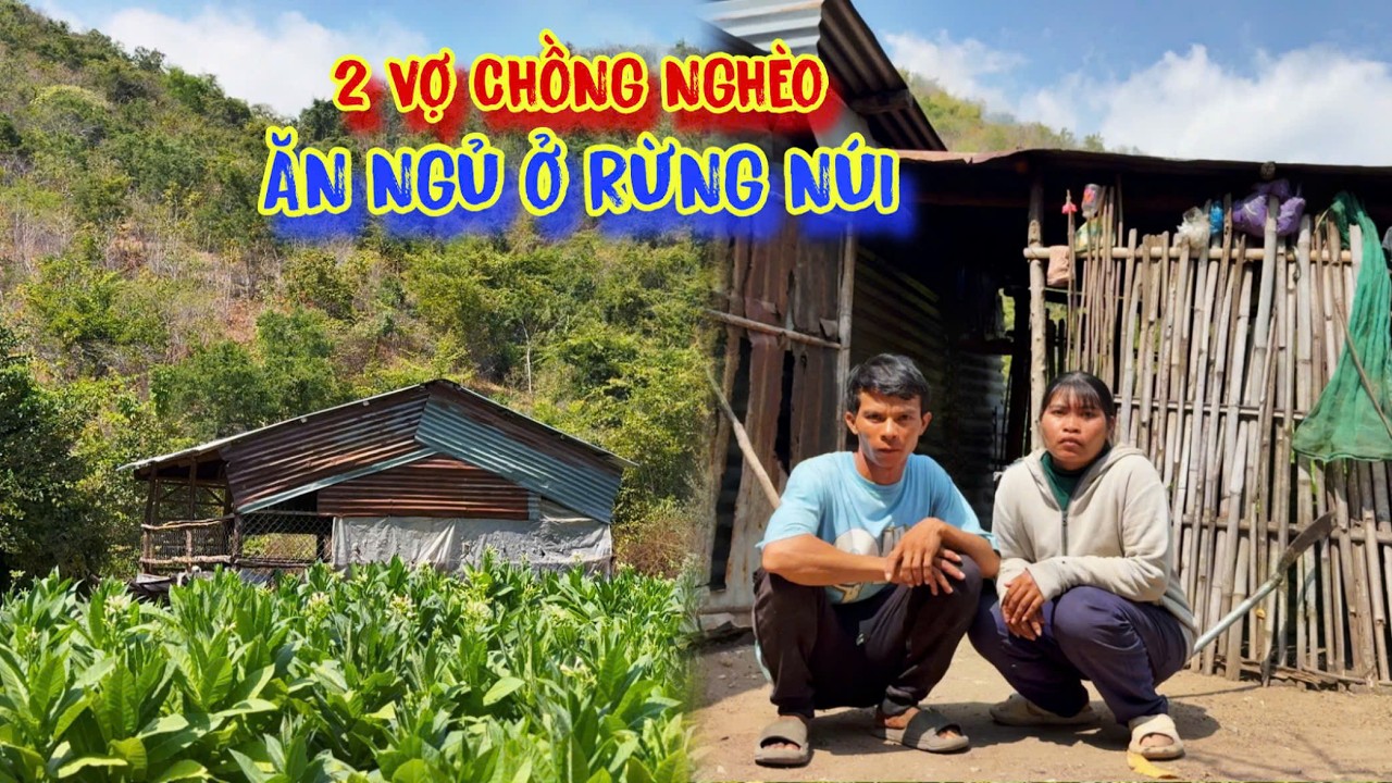 2 VỢ CHỒNG trẻ tuổi nghèo, ăn ngủ ở rẫy rừng, trong CĂN CHÒI cũ nát - tập 1677