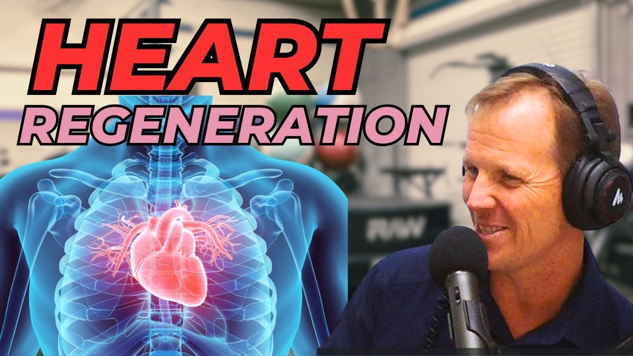 Heart Regeneration