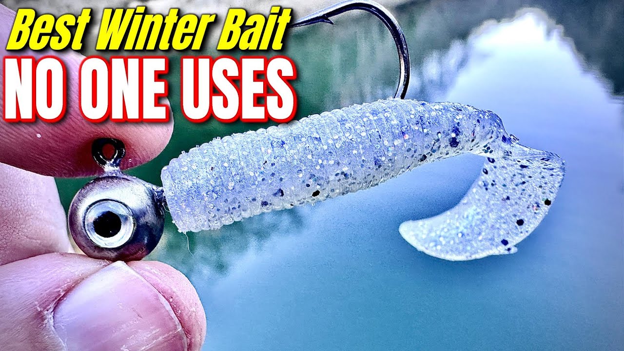 Best Winter Bait NO ONE Uses