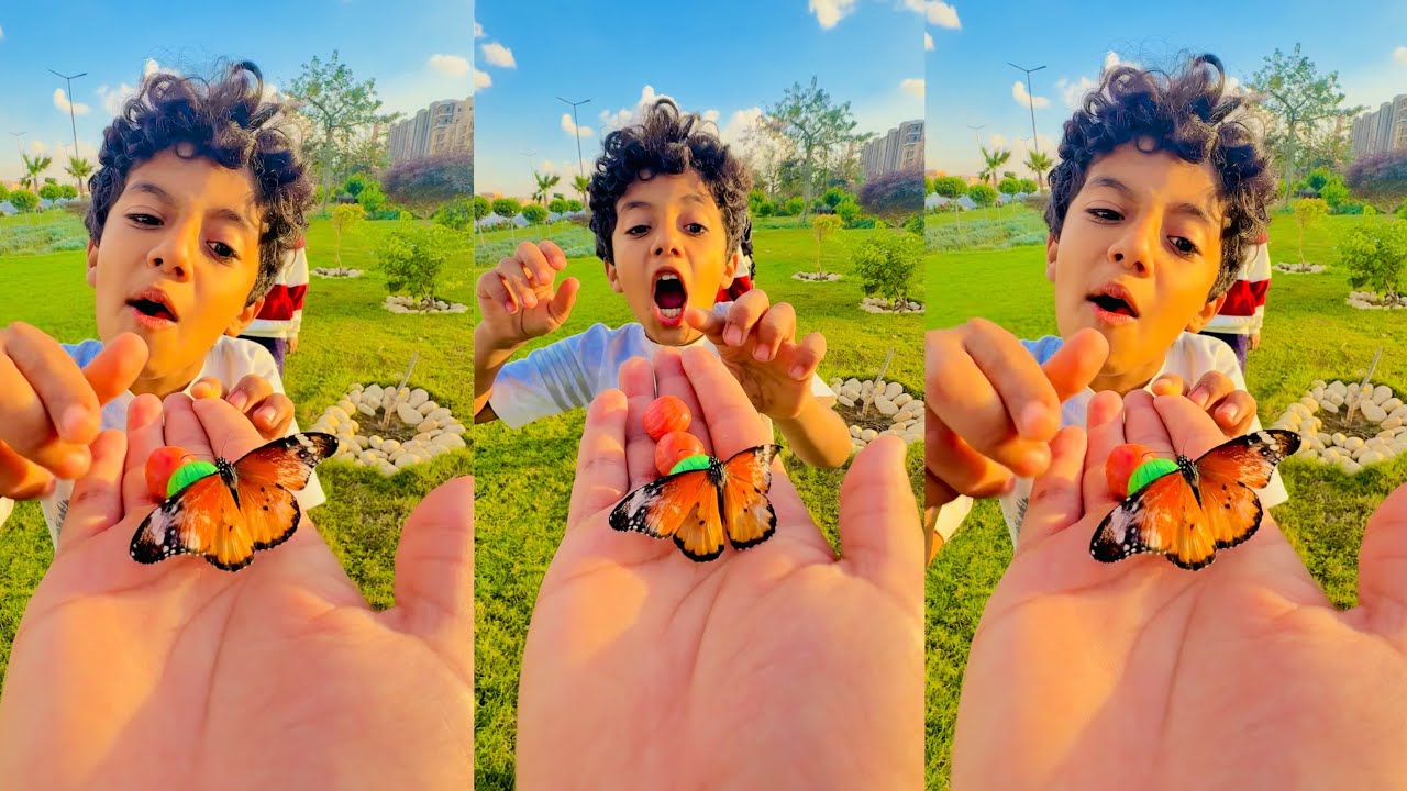 الفراشة الشقية ‏ ‏مسبتناش في التصوير خالص😳😳😳😳