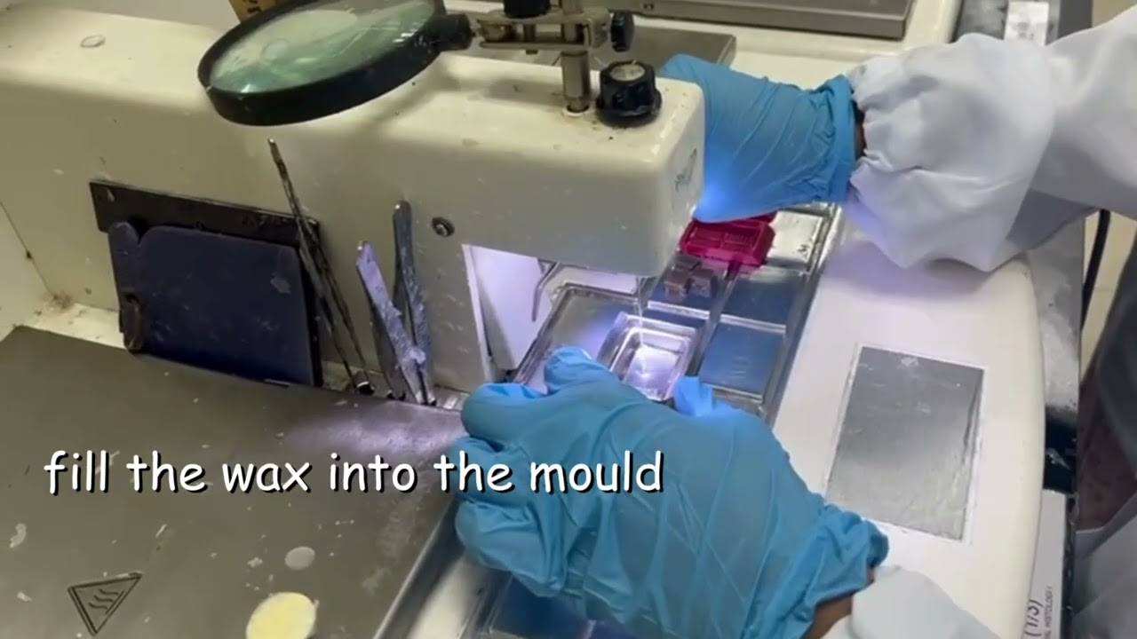 CSI102: TISSUE EMBEDDING A1