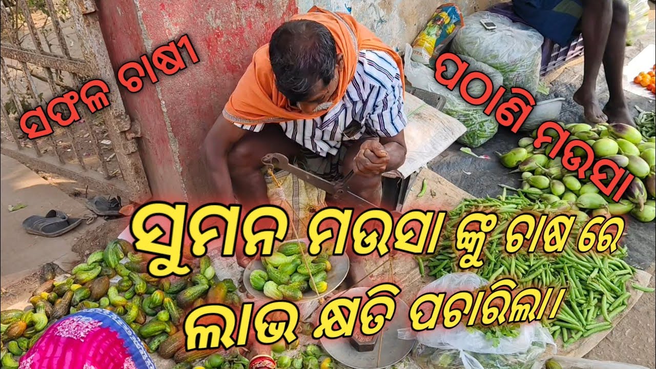 ସଫଳ ଚାଷୀ ପଠାଣି ମଉସା ଙ୍କ ଠାରୁ ତଟକା ପରିବା କିଣିଲୁ 🍆🥒🥒🍆🍆🍆||