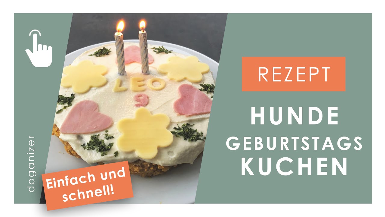 Hundekuchen  backen | Geburtstagstorte für den Hund | Rezept | einfach & schnell