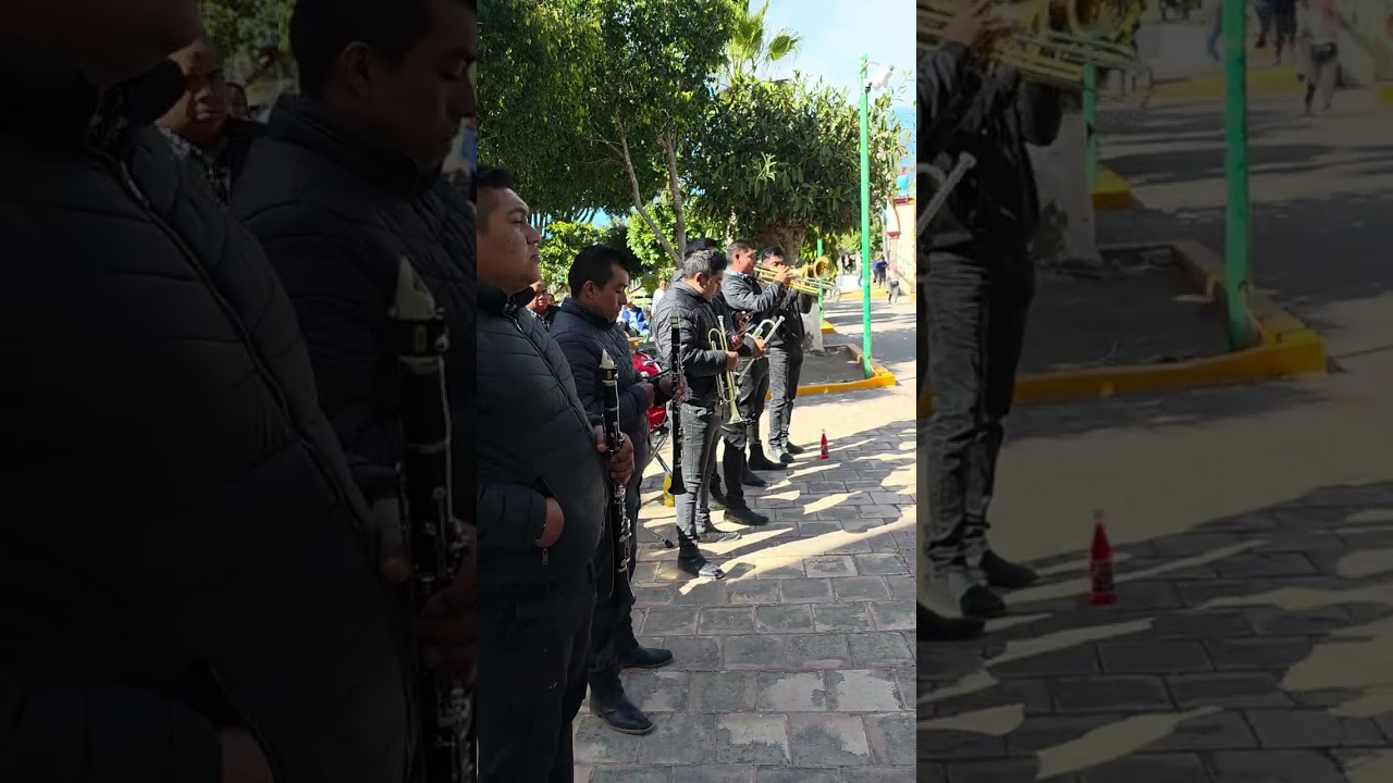 Banda Flechadora de Santiago Miltepec Oaxca 🎺🎷📯
