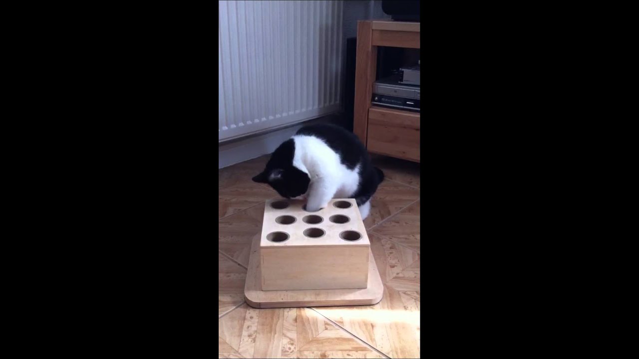 Fummelbox