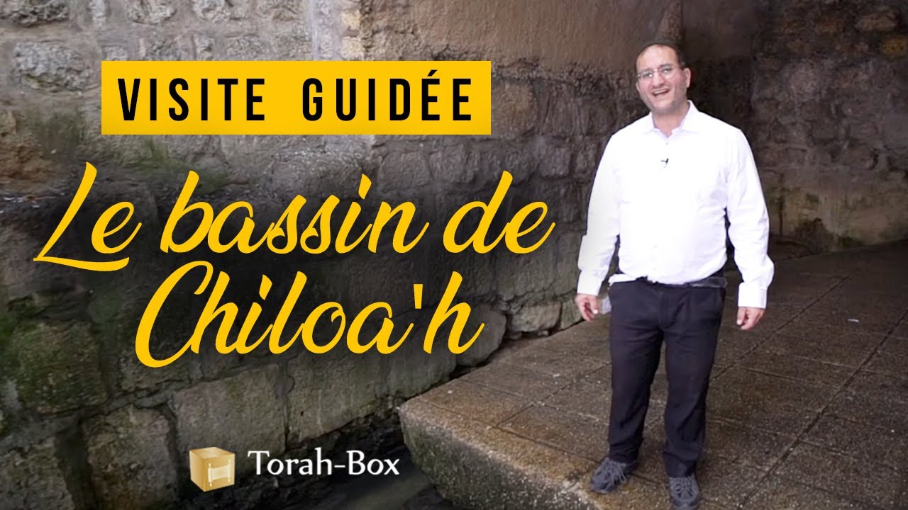 LE BASSIN DU CHILOA'H - VISITE GUIDÉE EXCLUSIVE  avec Dan Levy
