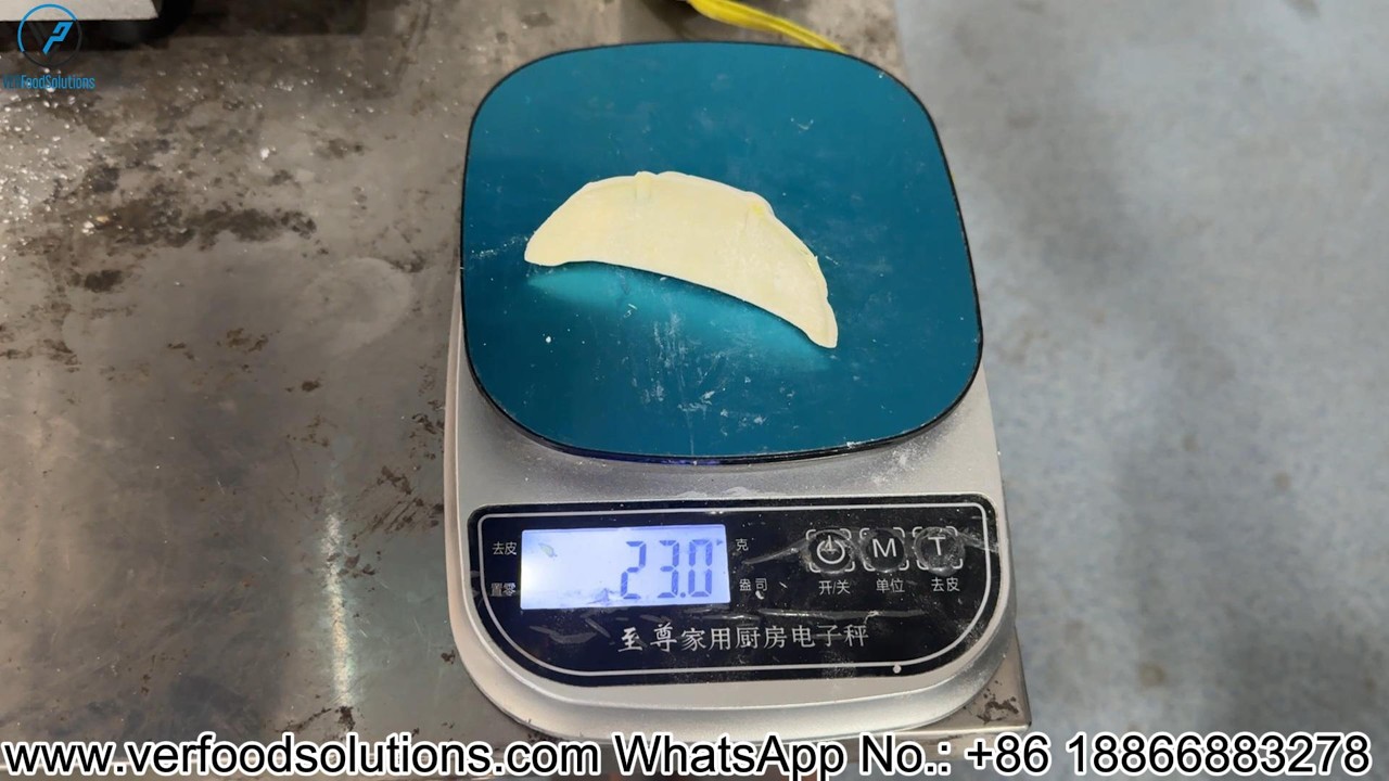 VERFOODSOLUTIONS 9cm Diameter 8g Wrapper 23g Gyoza Machine Test For Belarusian Customer