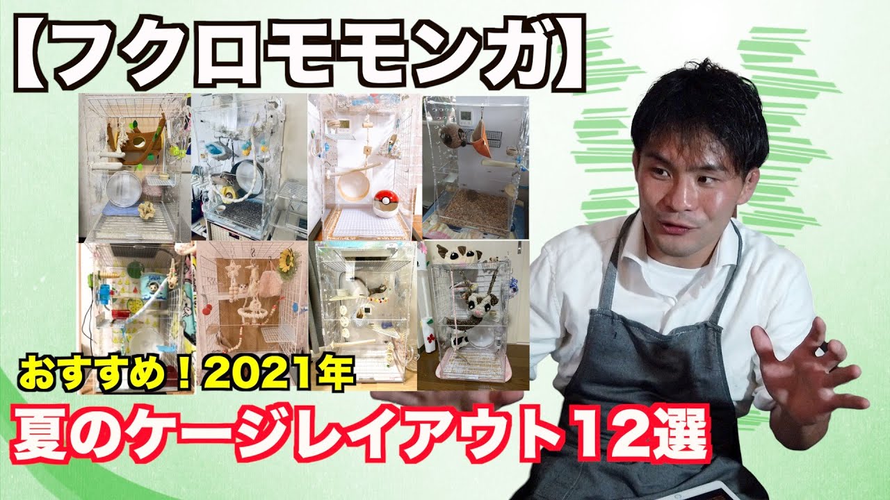 【フクロモモンガ】ケージレイアウトアワード2021夏
