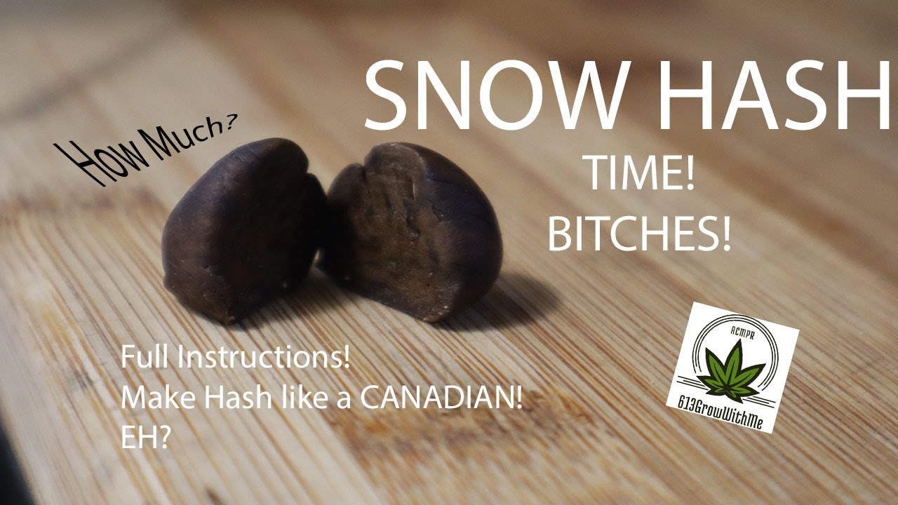 TIME TO MAKE SOME SNOW HASH! - Watch the weird guy get progressively stupid