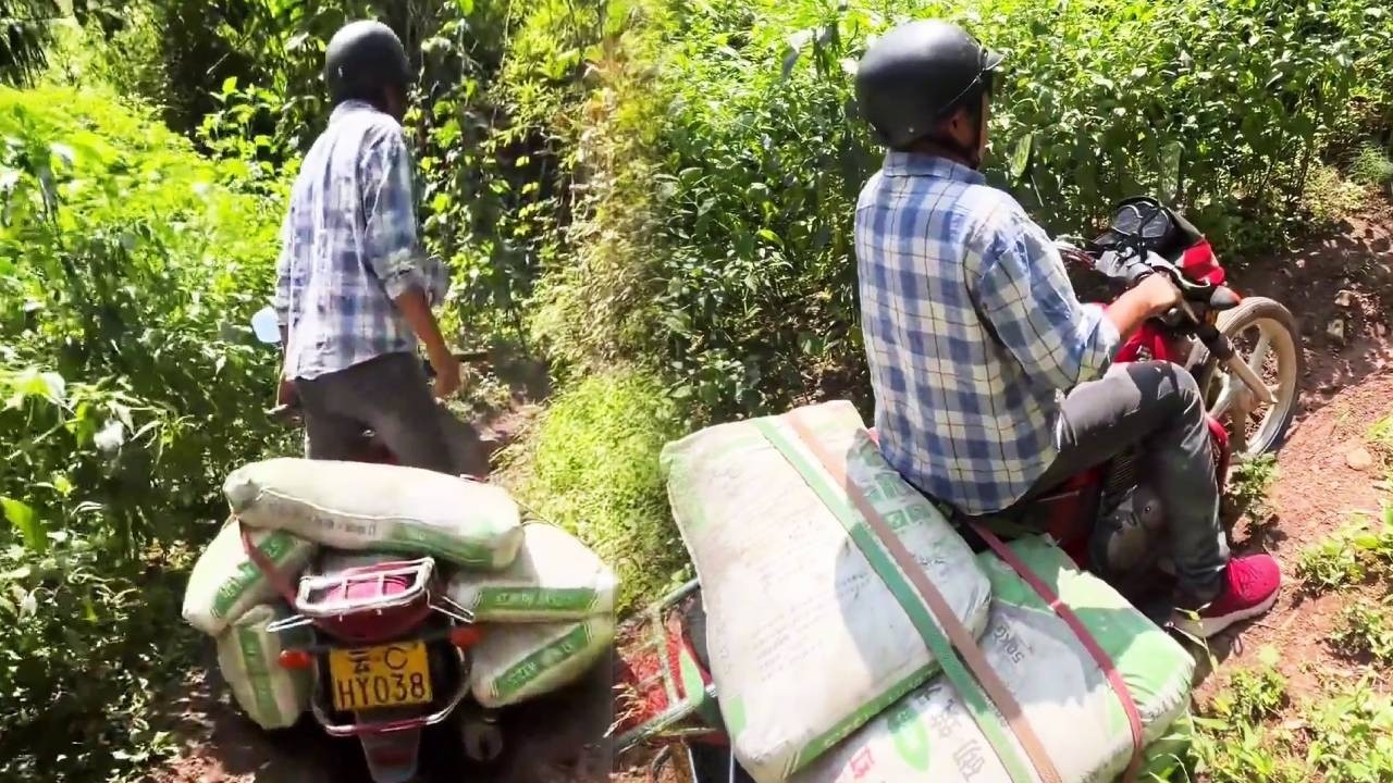 An accident occurred while doing a good deed on a motorcycle.#positiveenergy